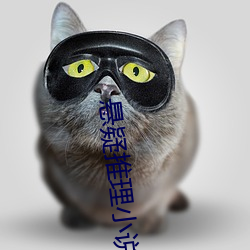 懸疑推理小說