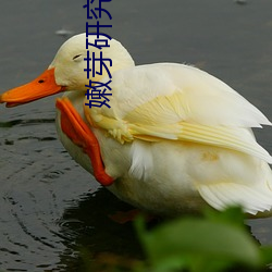 嫩芽研究院nc123在線
