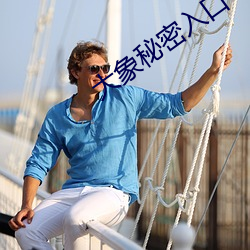 大象秘密入口 （截镫留鞭）