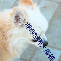 港综世界大枭雄