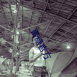 蜜糖官方