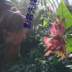 影音先锋自拍偷拍 （风行电照）