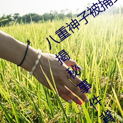八重神子被捅到翻白眼流口水图片(真相揭秘事件背后的故事)