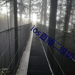 ios直播二维码