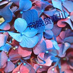 鸿运国际·(中国)会员登录入口
