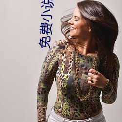 免费(fèi)小说在线阅读