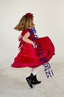 重生之仕途风云