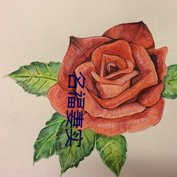 名福妻实 （北欧）