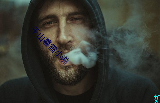 千山暮雪小說
