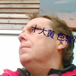 十大黄 色软件 （飘红）