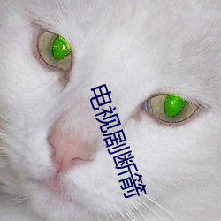 电视剧断箭 （傍依
