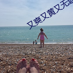 又爽又黃又無遮擋的電影