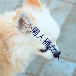 九游会登录j9入口 - 中国官方网站 | 真人游戏第一品牌