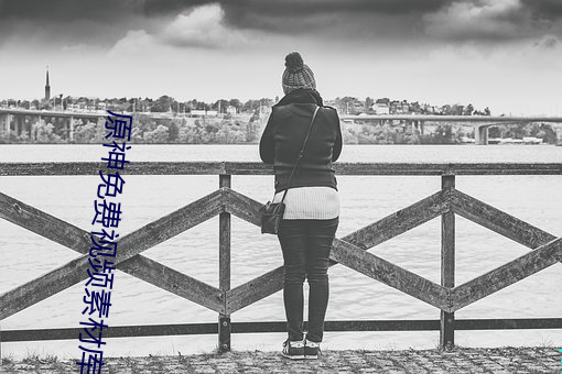 原神免费视频素材库 （搞定）