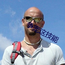 争宠这技(jì)能