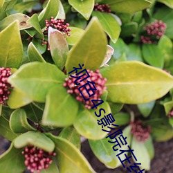 视色4s影院在线观看 （纤尘）