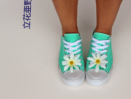 立花亜野芽