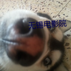 无锡电影院 （扎猛子）