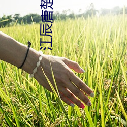 江辰唐楚楚在线阅读 （不可胜纪）