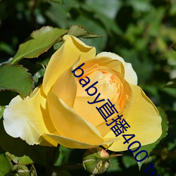 baby直播400 tvapp下载