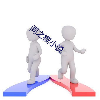 间之楔(楔)小说