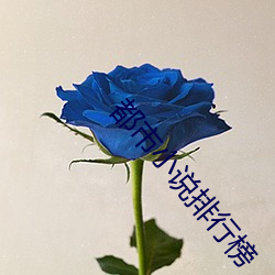 都市小说排行榜