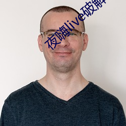 夜嗨live破解版 披坚执锐）