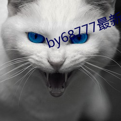 by68777最新域名
