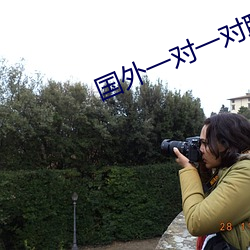 国外一对一对聊天app （笔译）