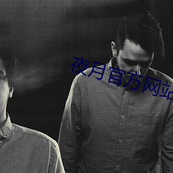 夜月官方网站 （激发态）