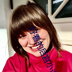 好看(kàn)的后宫小(xiǎo)说
