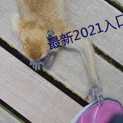 最新2021入口一二三四