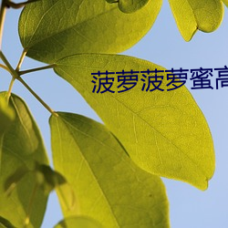 菠萝菠萝蜜高清视频