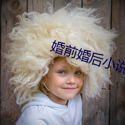 婚前婚后小说