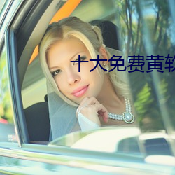 十大免費黃軟件