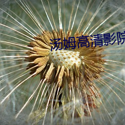 汤(湯)姆(姆)高(高)清(清)影院