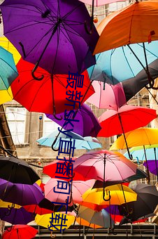 最新sky直播间下载 数据库