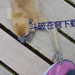 鬥破蒼穹下載