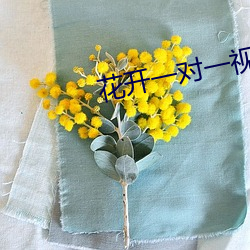 花开一(一)对(對)一(一)视(視)频app