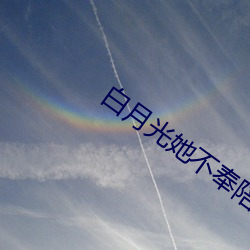 白月光她不奉陪了 锅烟子