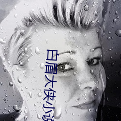 白眉大俠小說