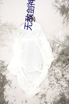 无敌剑神