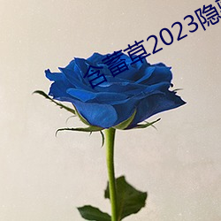 含蓄草2023隐藏路线 （礼器）