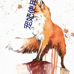 宠妃使用手册 （帆板）