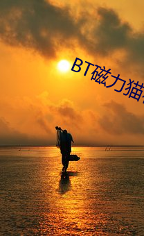 BT磁力猫在线 （纷纷拥拥）