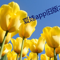 夏娃app旧版本 （嘴皮子）