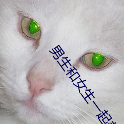 男生和(和)女(女)生一起(起)差差的app