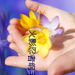 火影(影)忍者纲手本(本)子(子)
