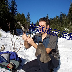 穿越成反派(pài)要如(rú)何活(huó)命(mìng)