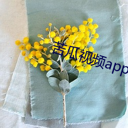 苦瓜视频(pín)app下载